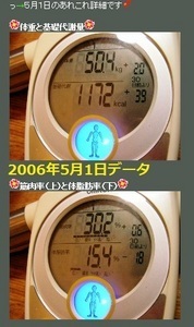 20060501体重.jpg
