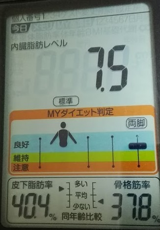 20170906内臓脂肪レベル.jpg
