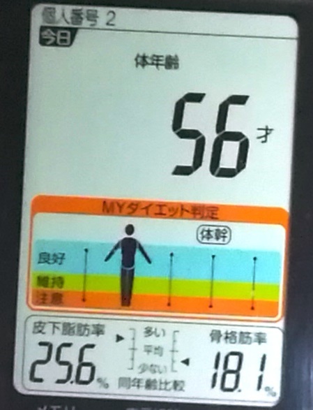 20190302体重たち (4).jpg