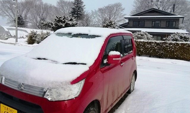 20190316雪.jpg