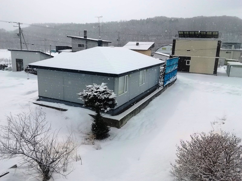 20190316雪だ.jpg