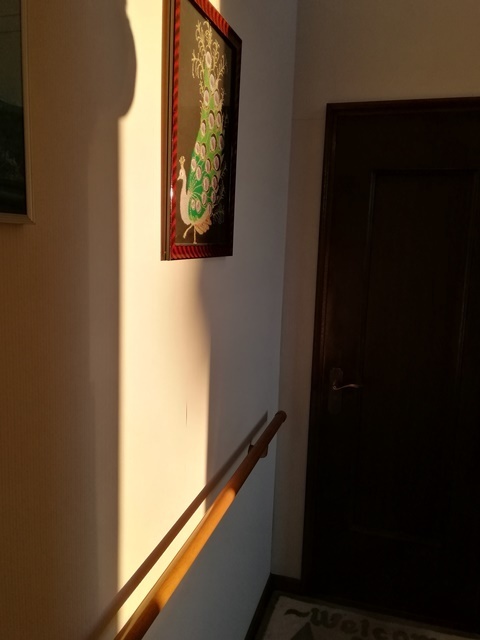 20190407朝日 (2).jpg