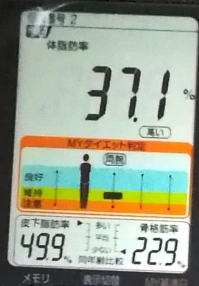 20190414体重たち (3).jpg