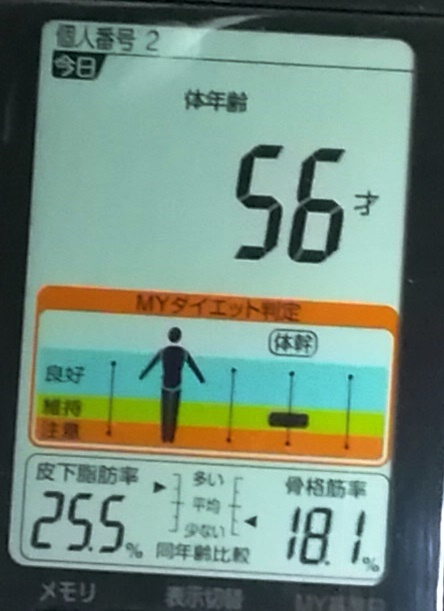 20190503体重たち (4).jpg