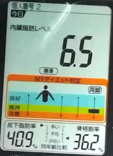 20190511体重たち (1).jpg