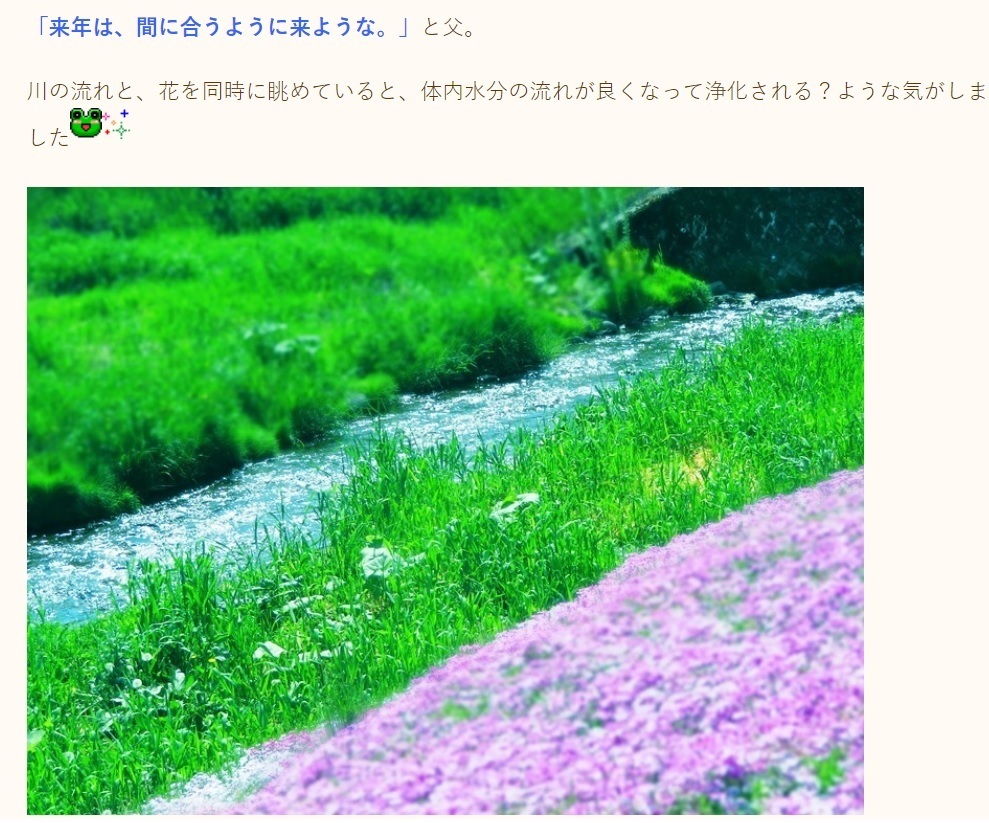 20190527ひがしもこと芝桜まつり2.jpg