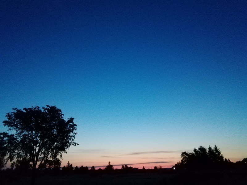 201906030300.jpg