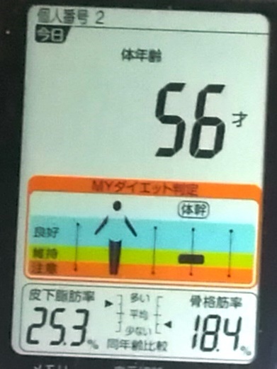 20190604体重たち (4).jpg