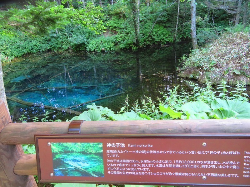 20190729神の子池.jpg