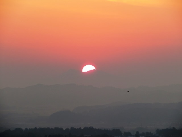 201910030529あ、太陽だ.jpg