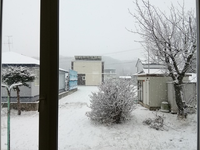 20191118とうとう雪が (1).jpg
