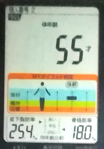 20191130体重たち (4).jpg