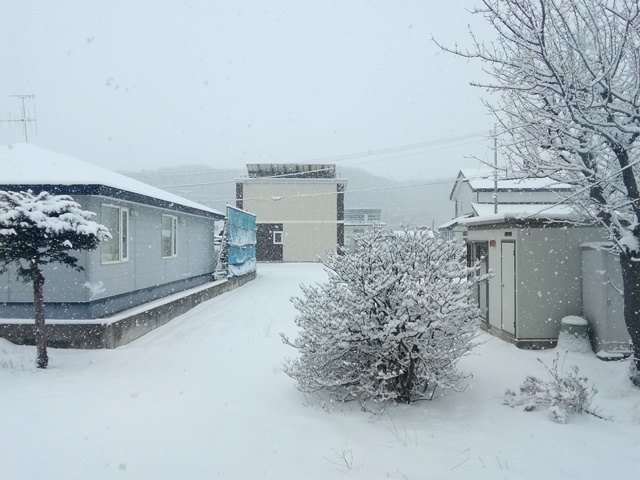 20200130雪だ (2).jpg