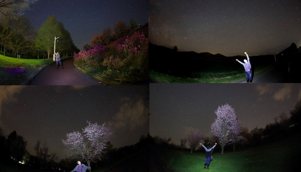 20200512夜桜.jpg
