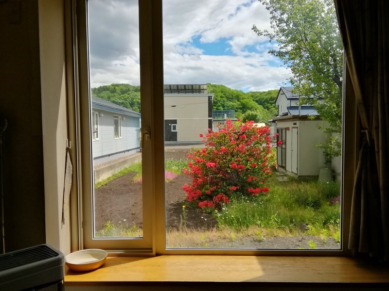 IMG_20190530_130940.jpg