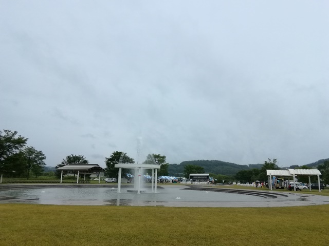 IMG_20190714_122244.jpg