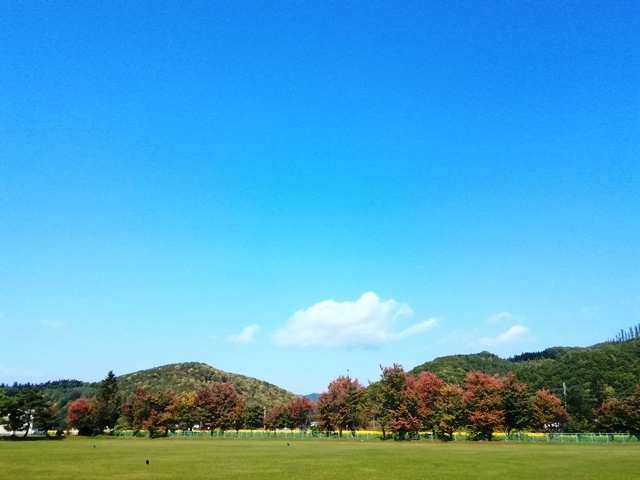 IMG_20190930_095540_1.jpg