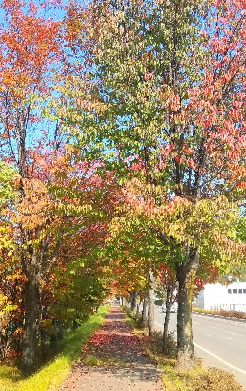 IMG_20190930_095603.jpg