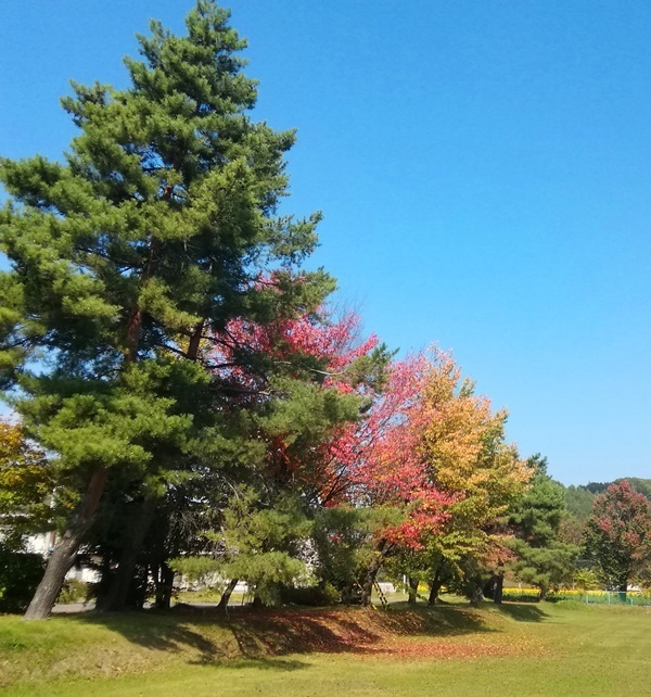 IMG_20190930_100126.jpg